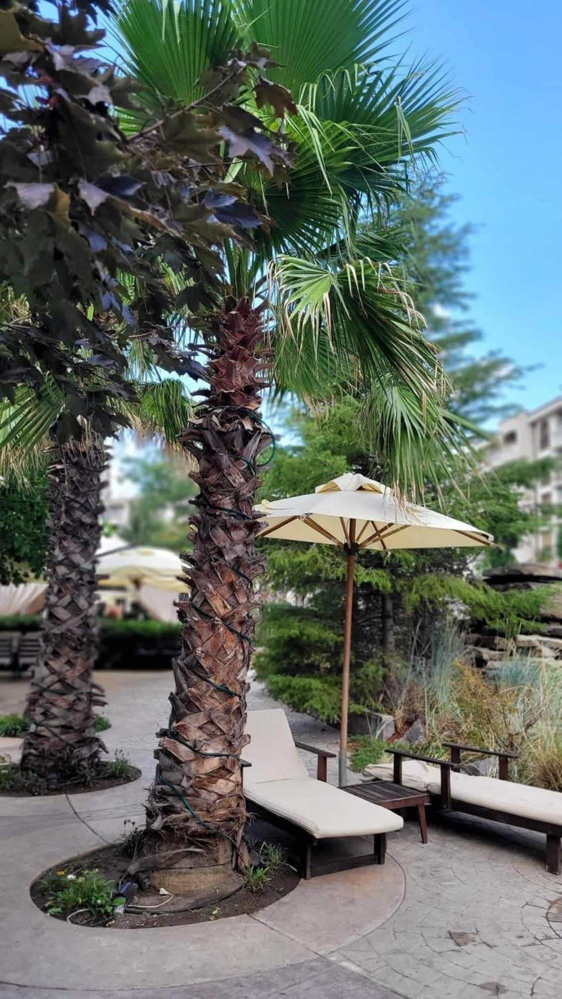 Wonderful Deluxe Appartement In Cascadas Family Resort Sunny Beach Esterno foto